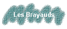 Les Brayauds