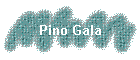 Pino Gala